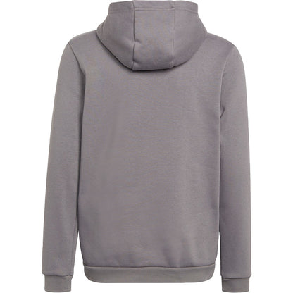 adidas Entrada22 Hooded Sweatshirt [Youth]