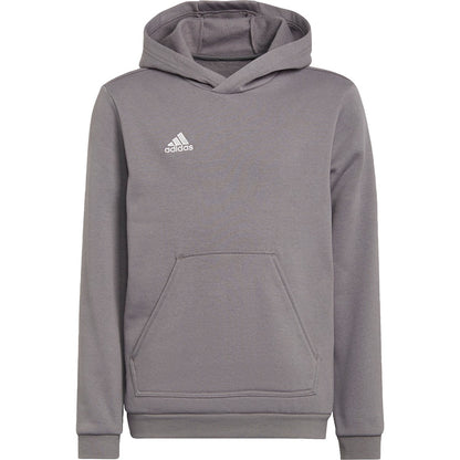 adidas Entrada22 Hooded Sweatshirt [Youth]