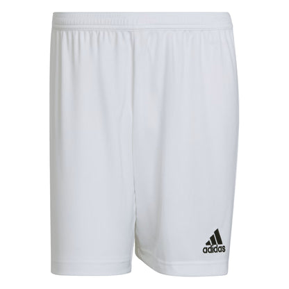 Boise Timbers Shorts [Youth]