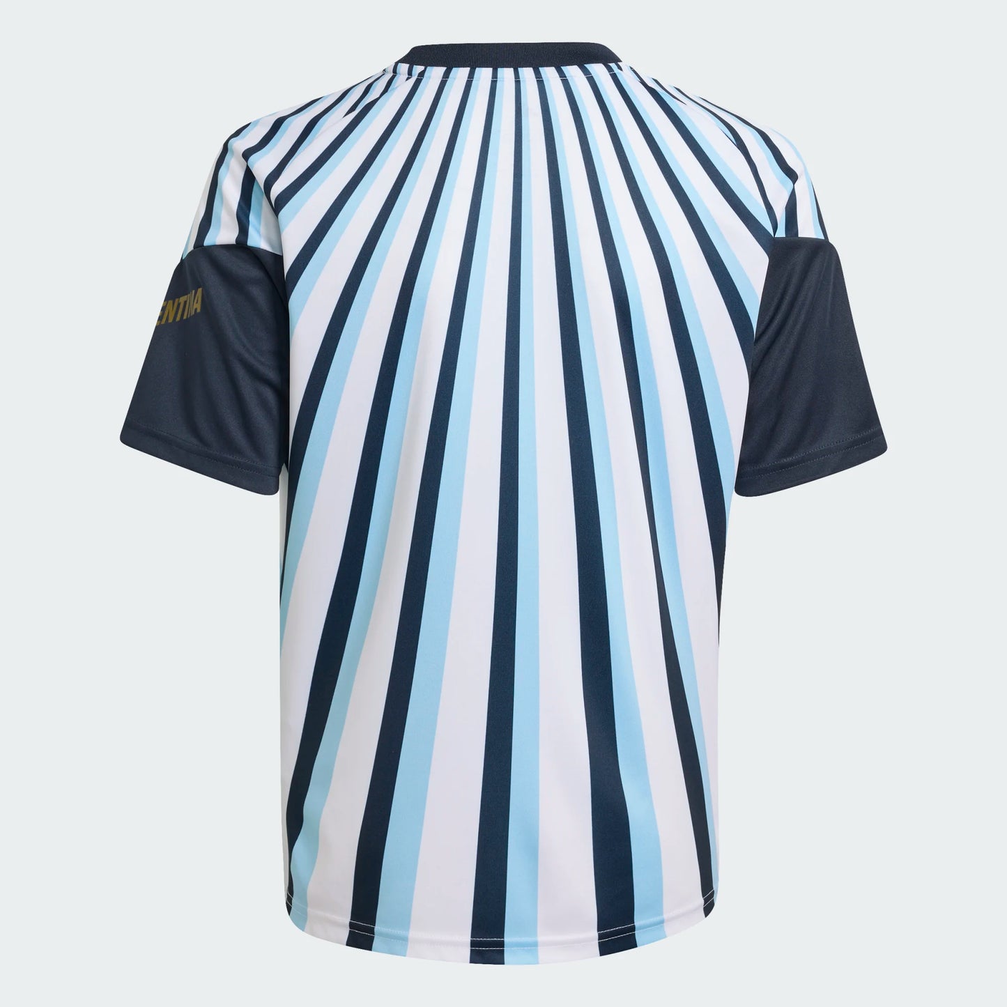 Argentina 26 Home Pre Match Jersey [Youth]