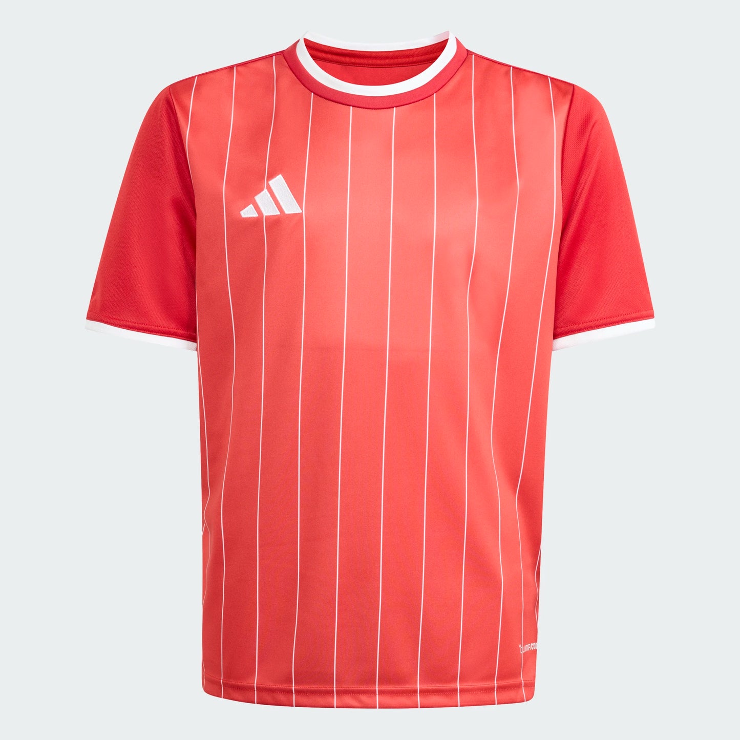 Adidas Entrada 26 GFX Jersey [Youth]