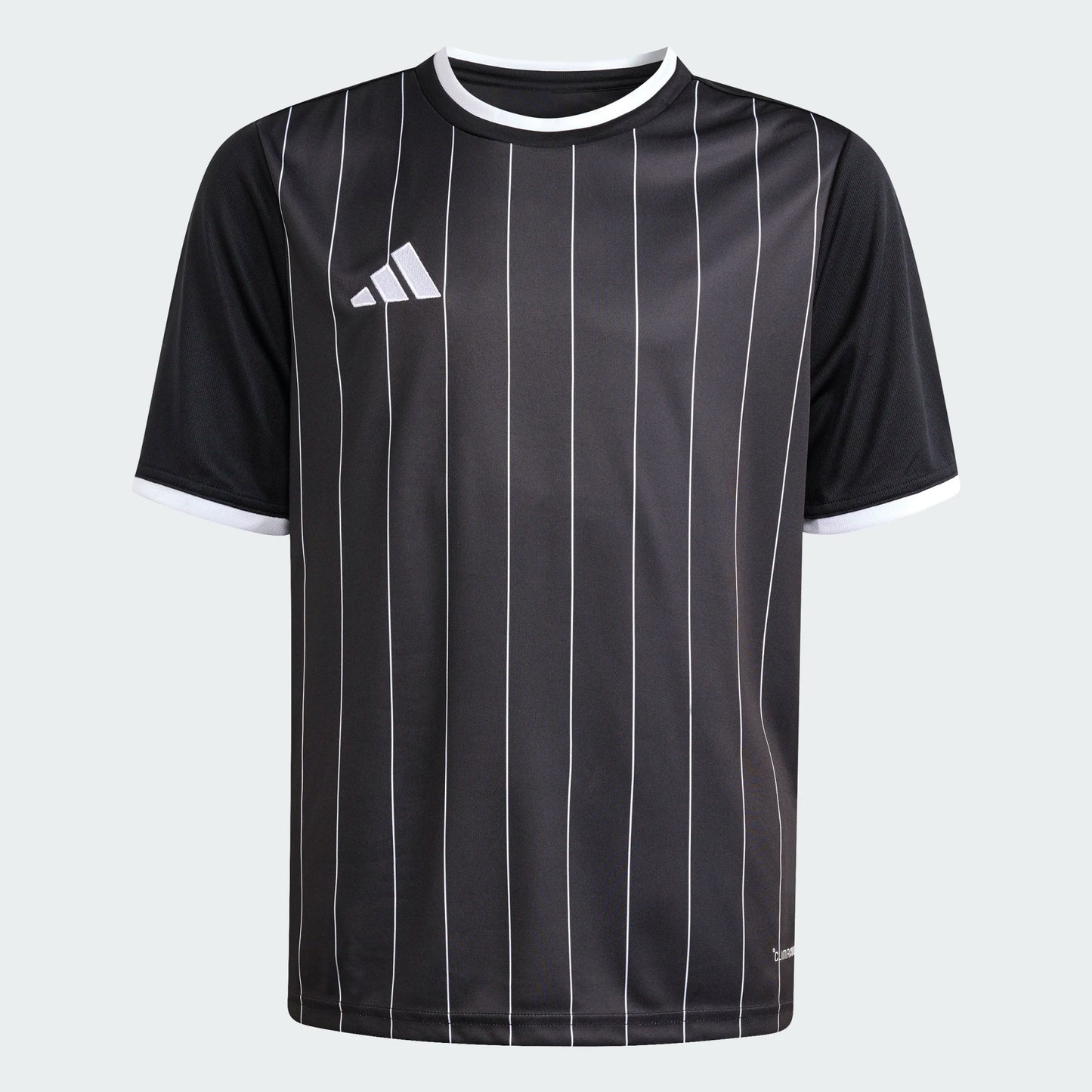 Adidas Entrada 26 GFX Jersey [Youth]