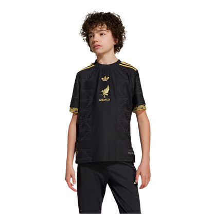 Youth Mexico Gold Cup Jersey