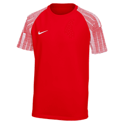 Nike Dri-Fit Academy Jersey [Youth]